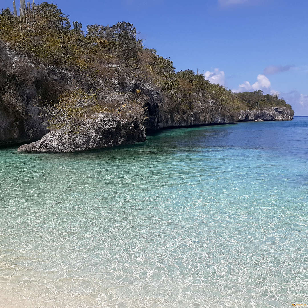 saona fun