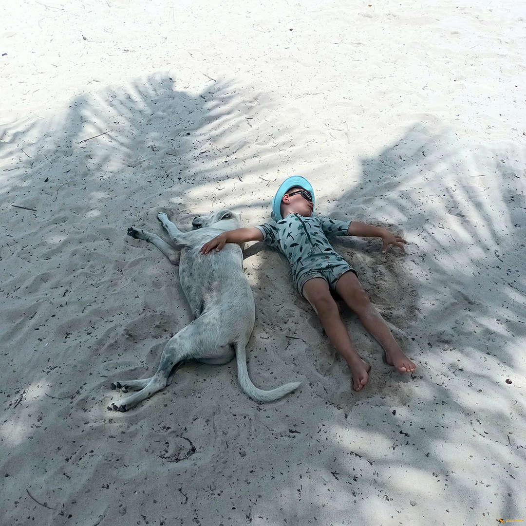 Islands of Saona and Catalina