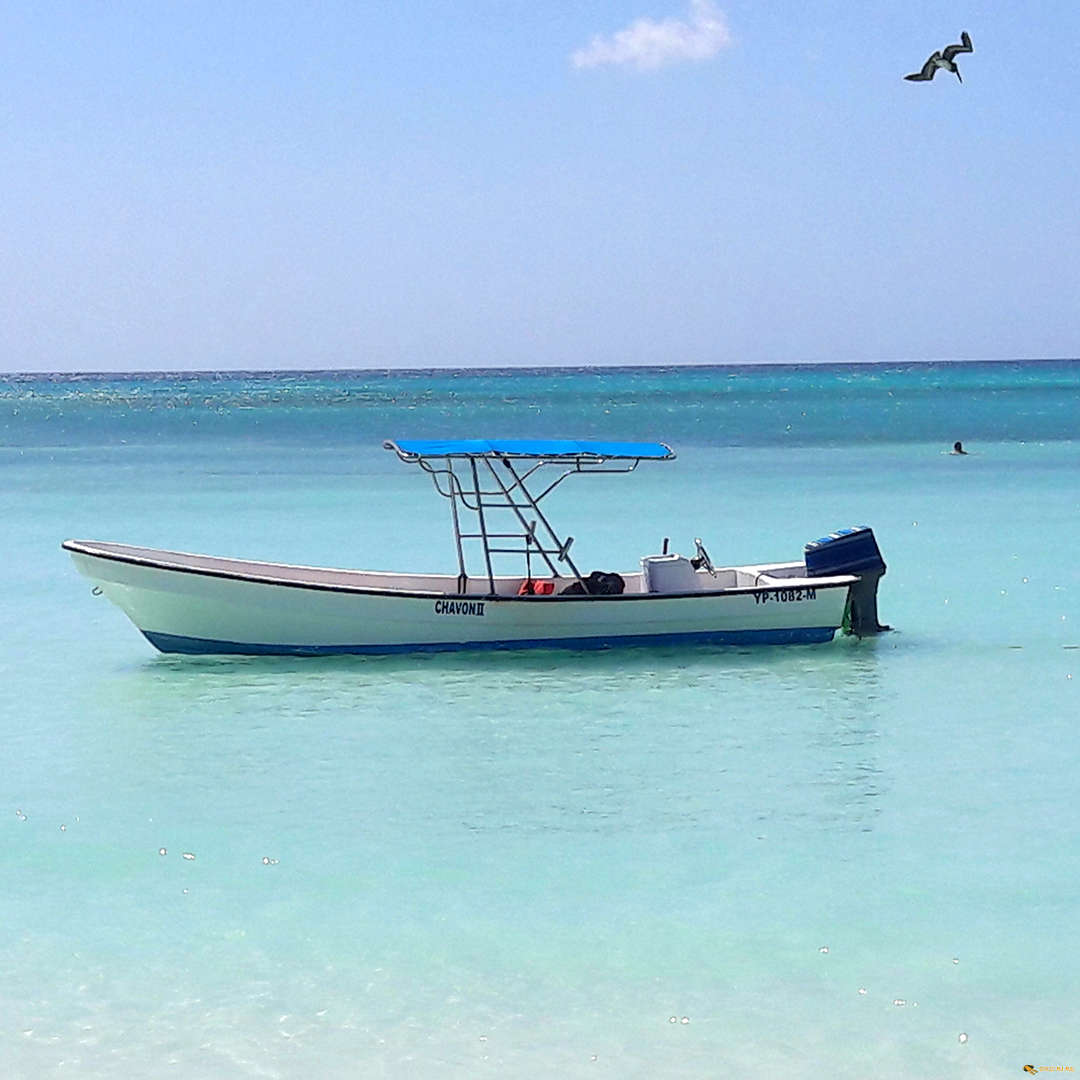 saona fun excursion