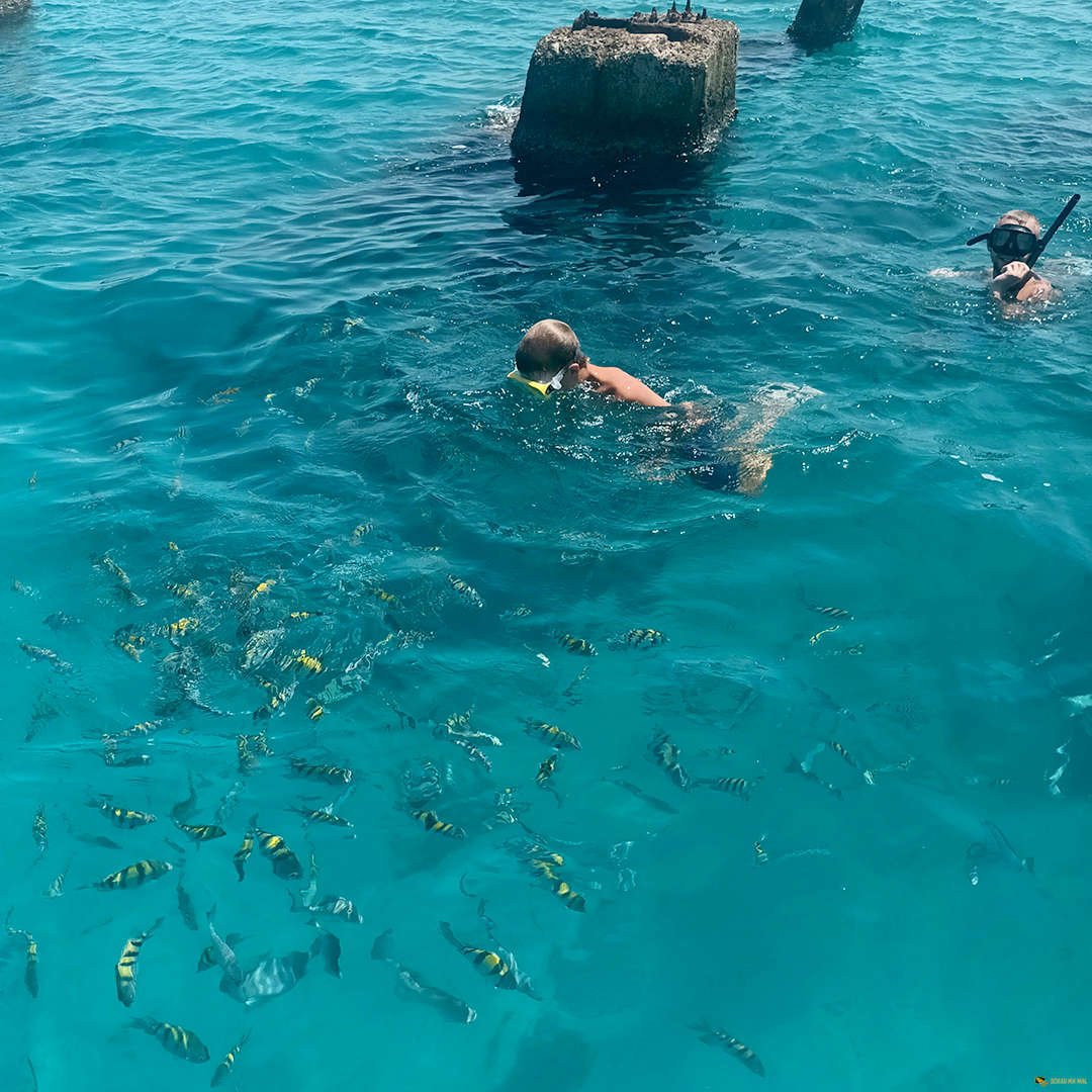 Islands of Saona and Catalina