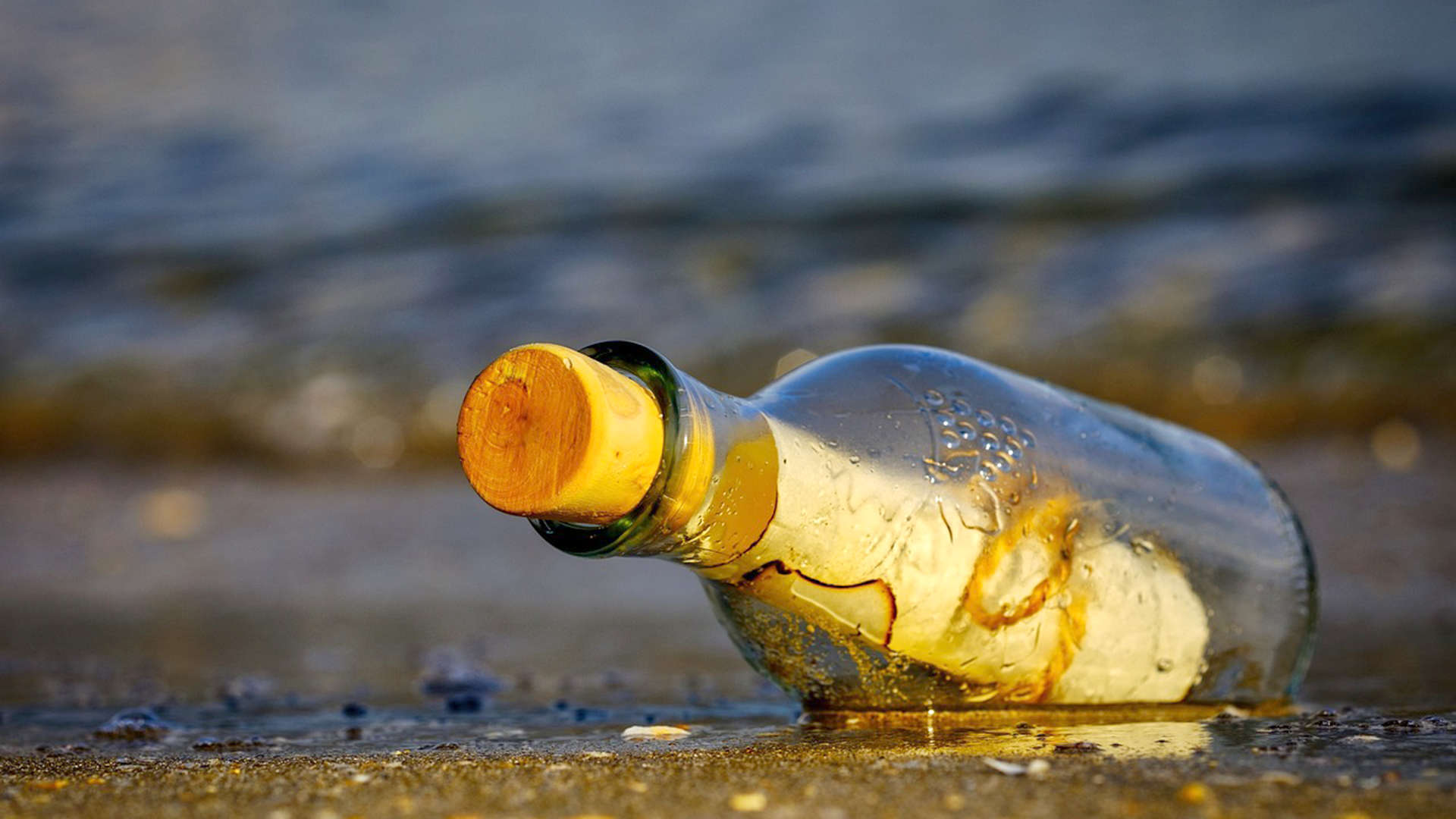 General Terms and Conditions Terms of Use saona fun