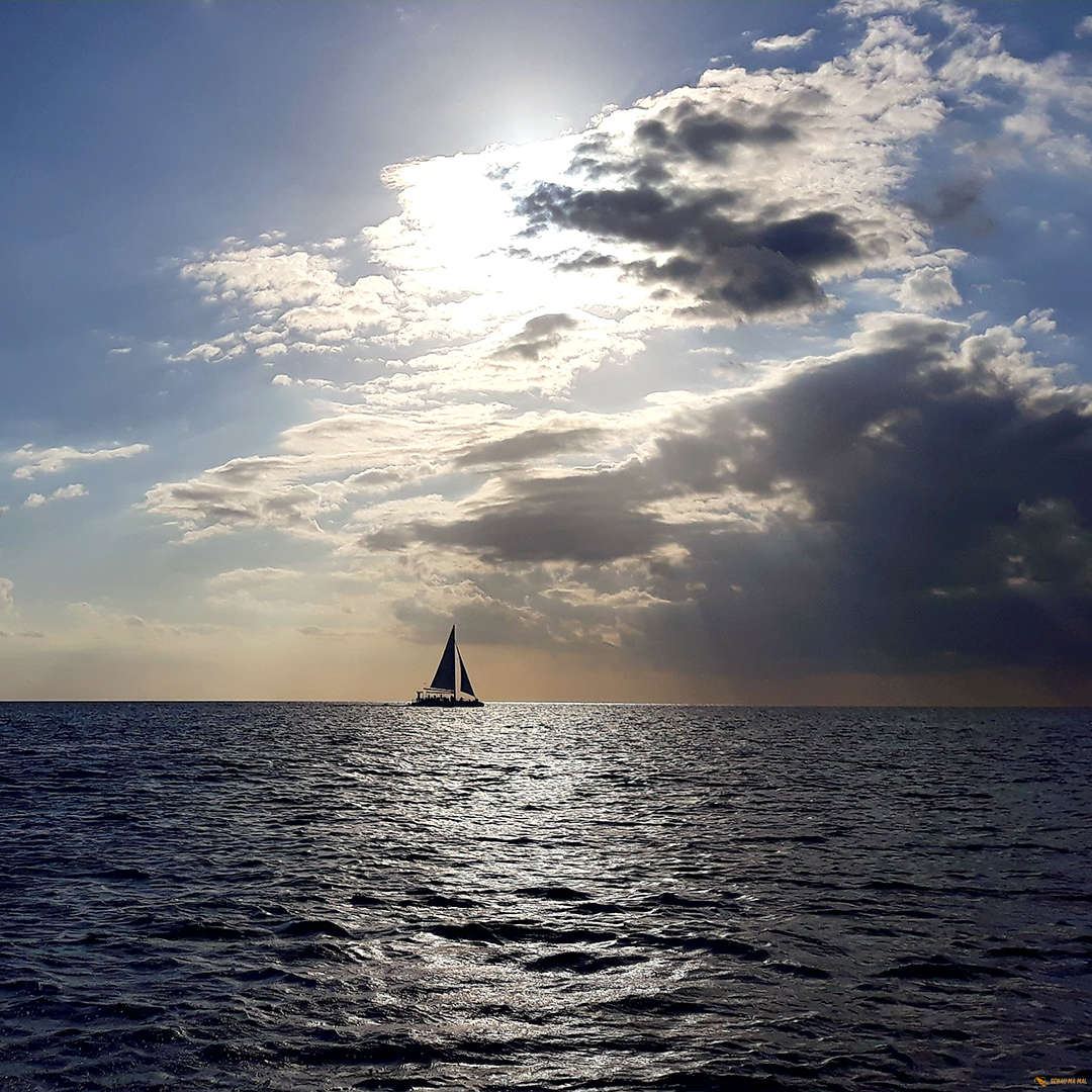 Islands of Saona and Catalina