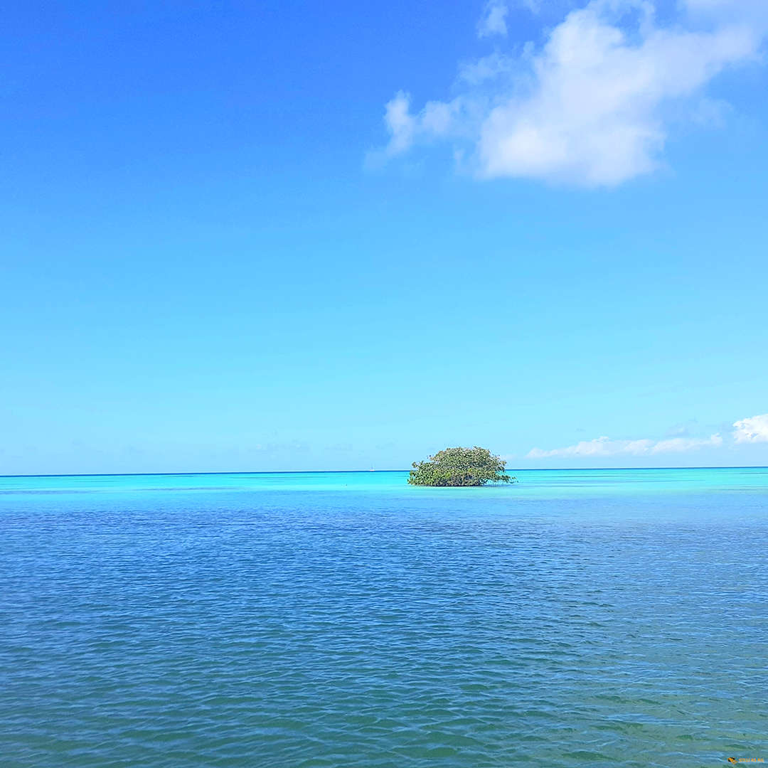 Islands of Saona and Catalina