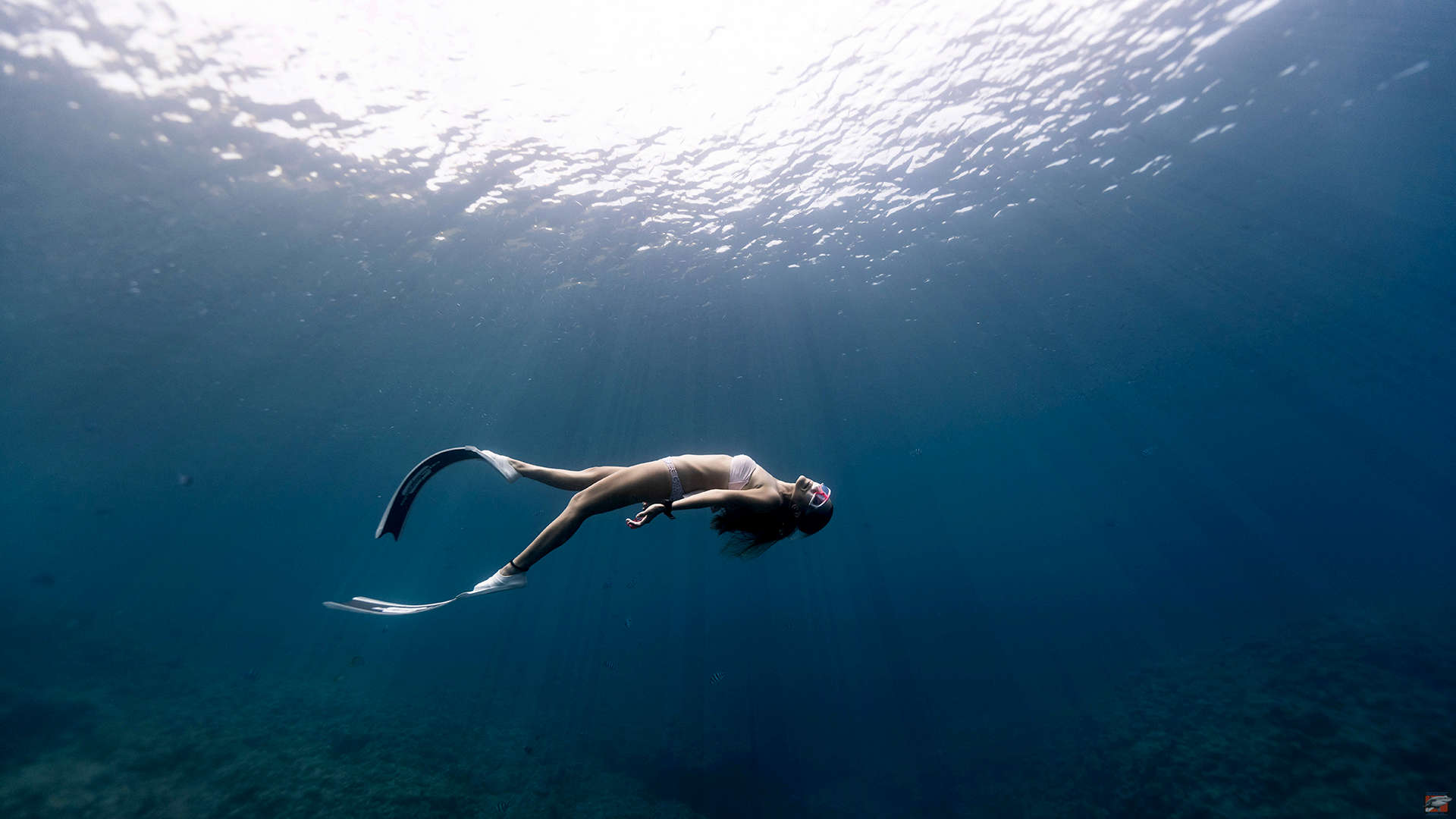 saona.fun diving tauchen