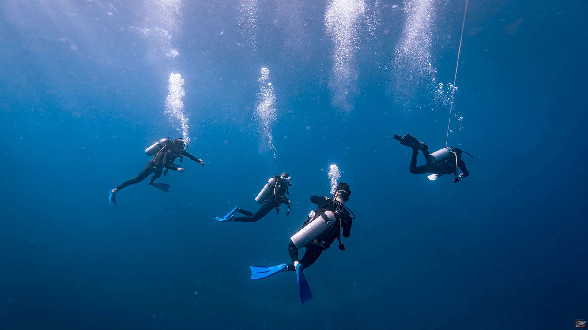 saona.fun diving tauchen
